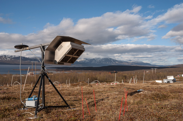 Effects of warming and N addition on seedling establishment in tundra