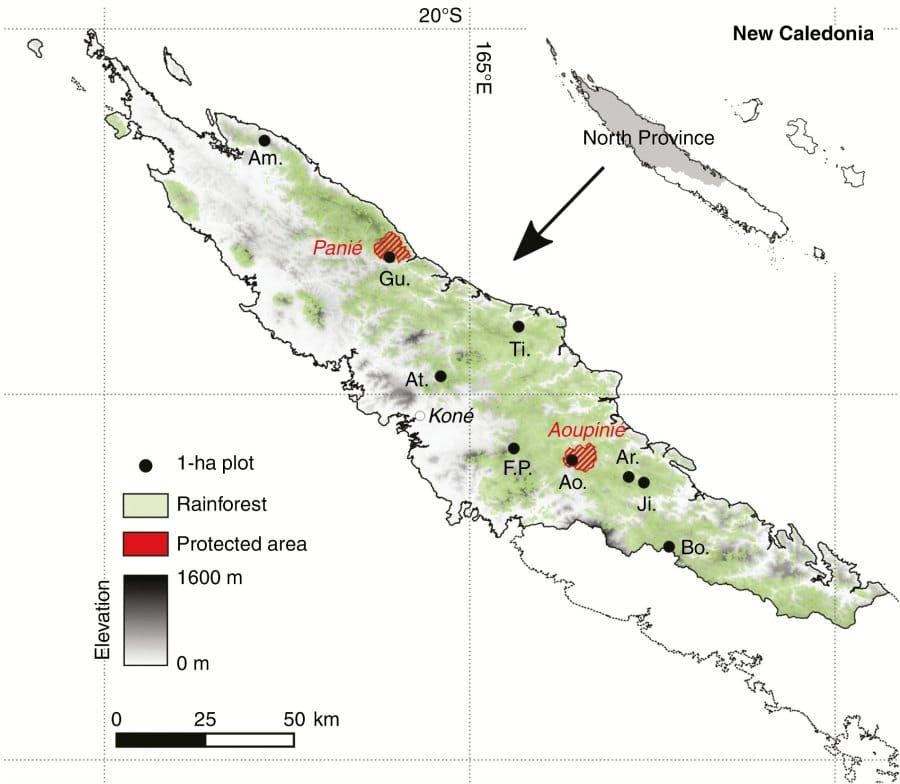 Location of the nine 1-ha plots in the North Province of New Caledonia (SW Pacific)