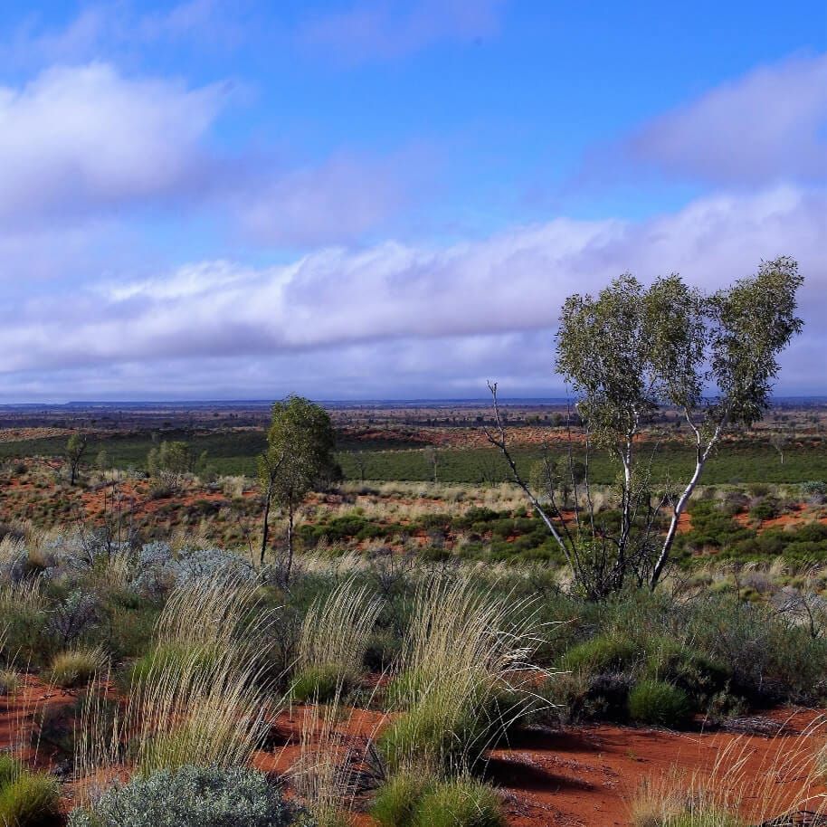 Not a burning landscape.