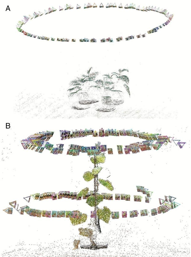 Camera positions around the original sparse point clouds of an experimental plant