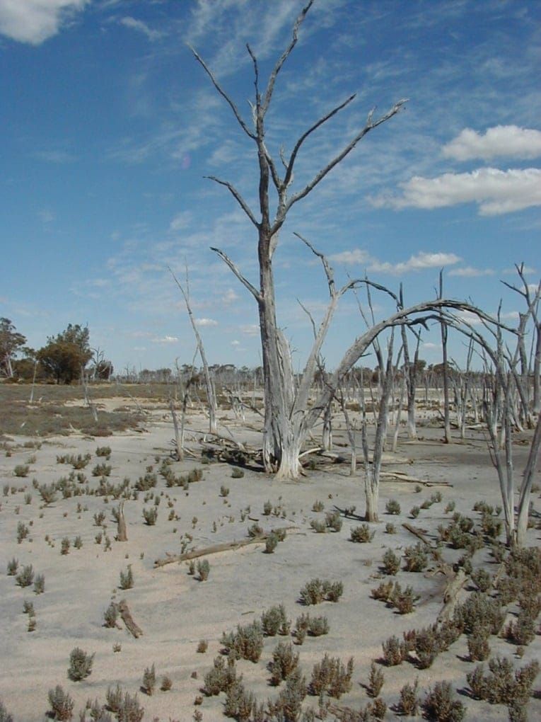 The consequences of salinisation and flooding