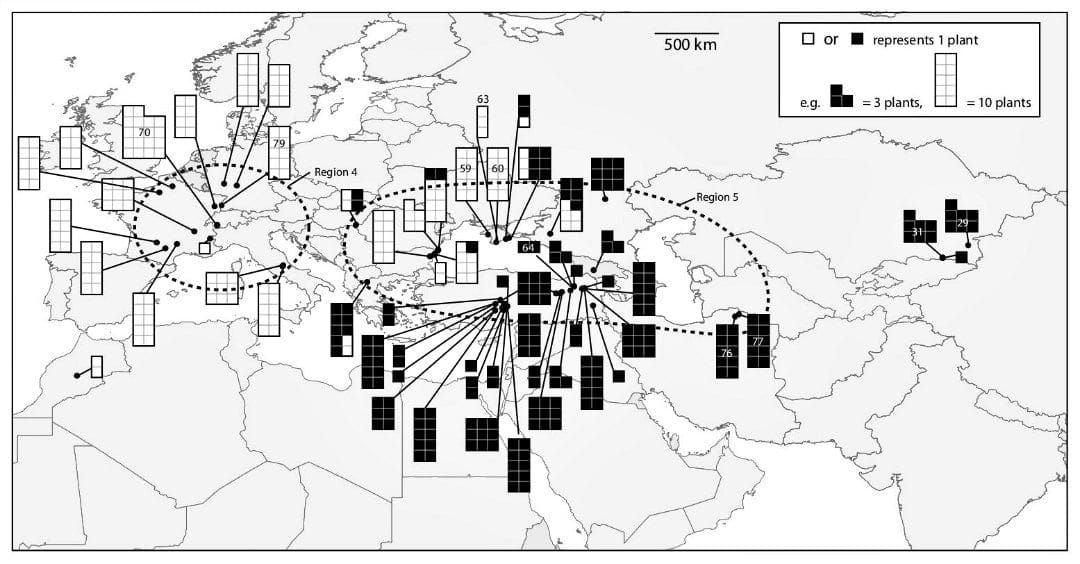 Collection locations of Isatis tinctoria in Eurasia.