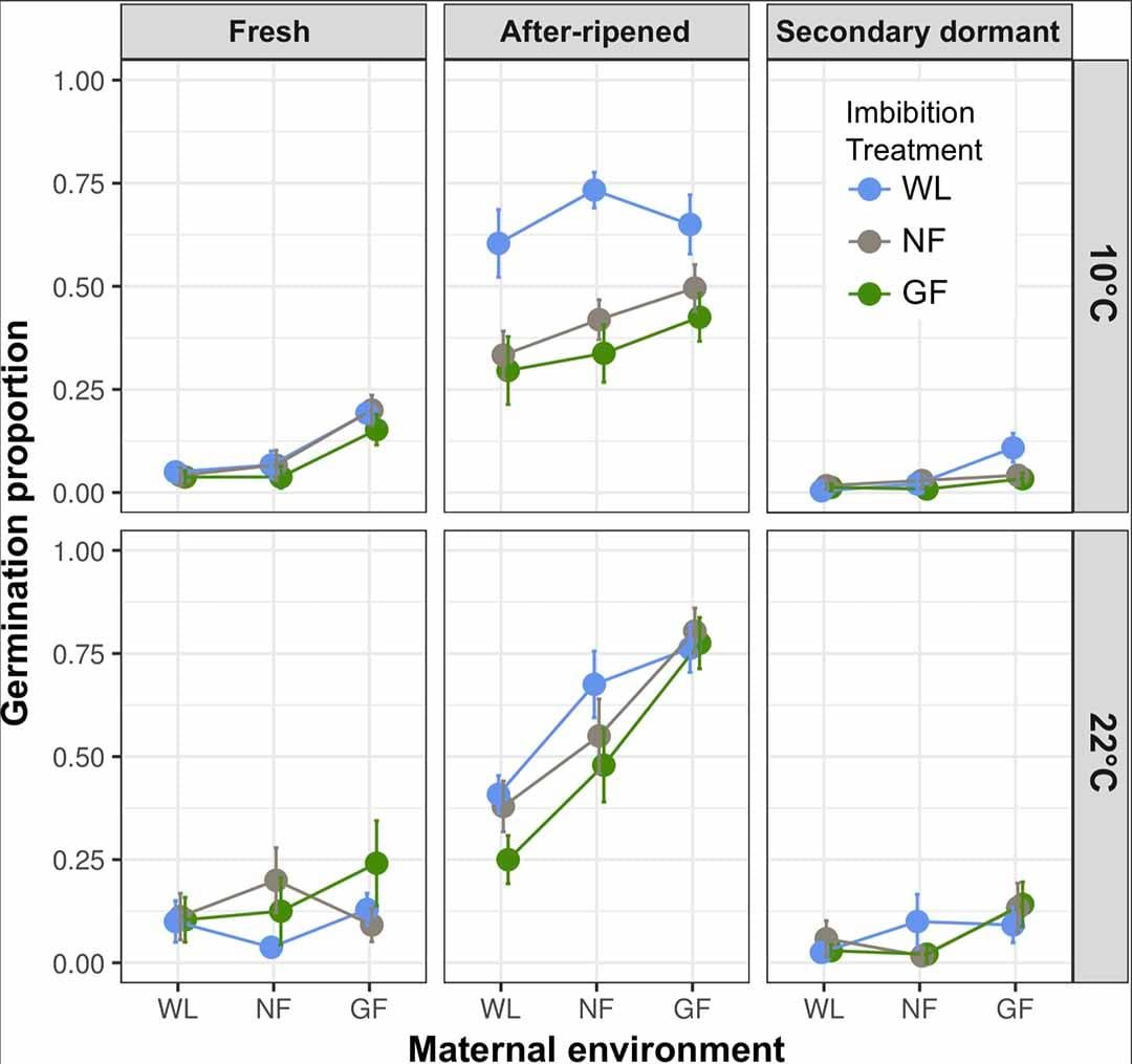 Effect of maturation under white light, a neutral filter and a green filter on germination of seeds