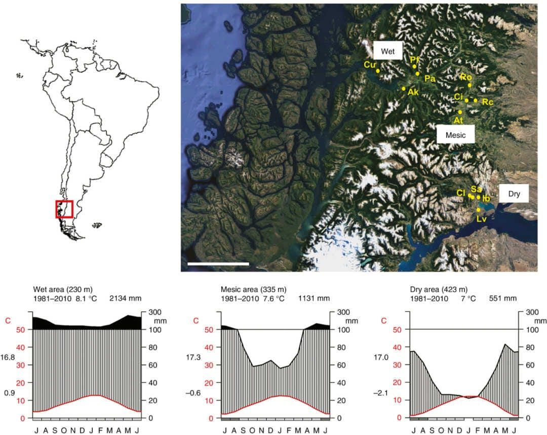 Location of the study areas (wet, mesic and dry), sites (four per area) and climatic diagrams for each study area.