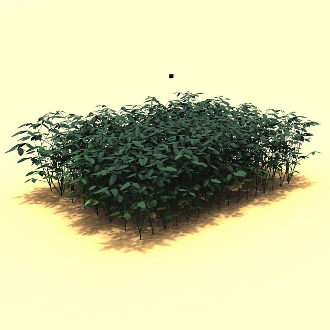 A 3D recreation of a soybean, Glycine max L. Merr., crop canopy generated using a functional-structural plant model in the so