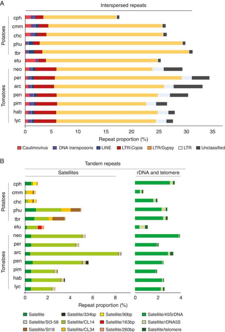 All-to-all similarity comparison of sequence reads from Solanum species based on cluster composition across all 13 species in