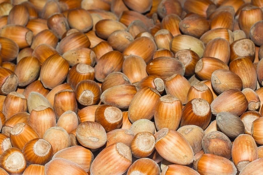Hazelnuts