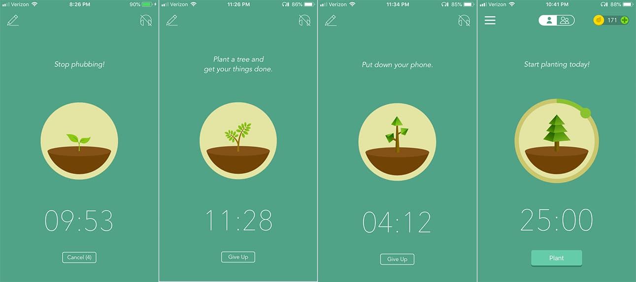 Graphics series of a flowering plant seedling grows into a conifer