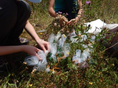 Experimental set up used in the study