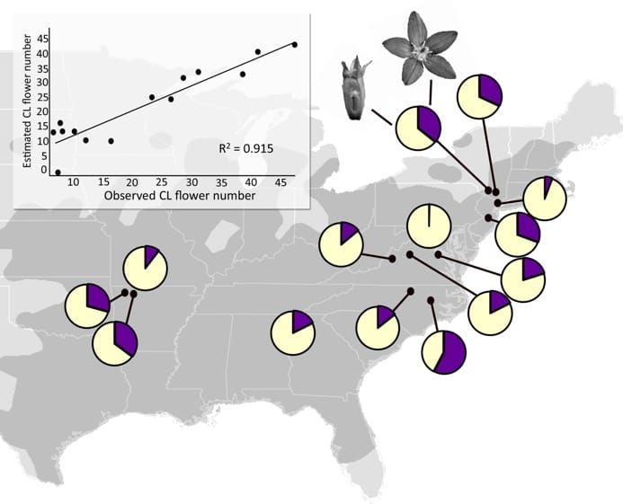 The range of the study species and model fits