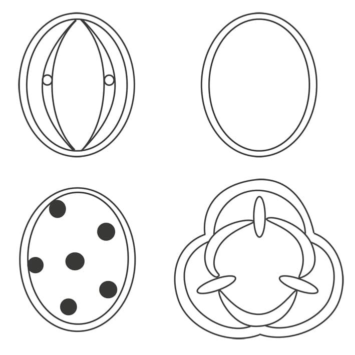 Evolutionary constraints on disparity of ericaceous pollen grains