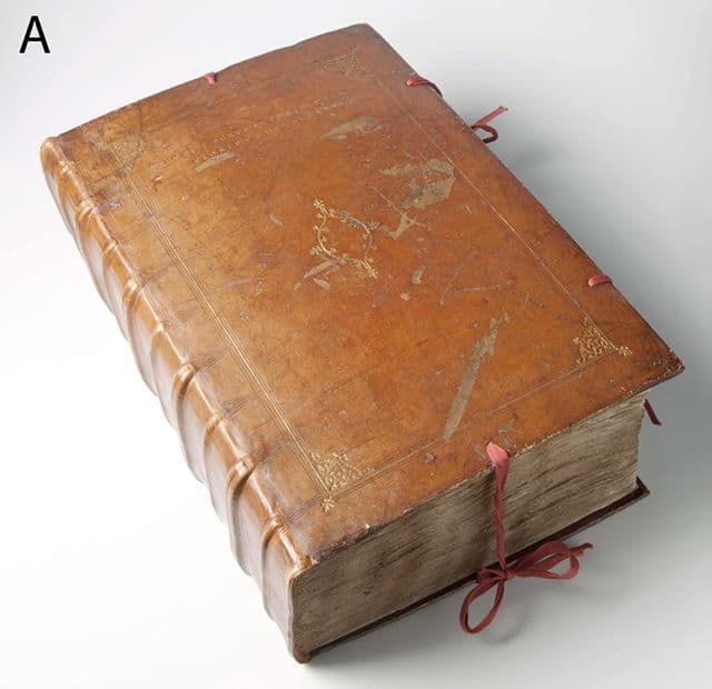 Plant records: Most overdue library book?