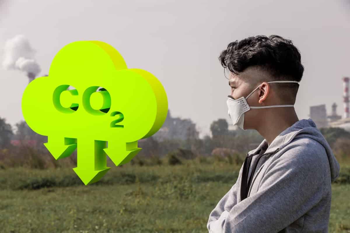 De nouvelles recherches montrent que les usines de bioénergie doivent être au bon endroit pour offrir des avantages