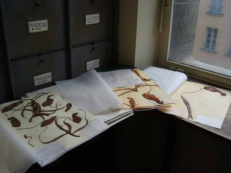 Symposium looks at new frontiers in collecting & collections
