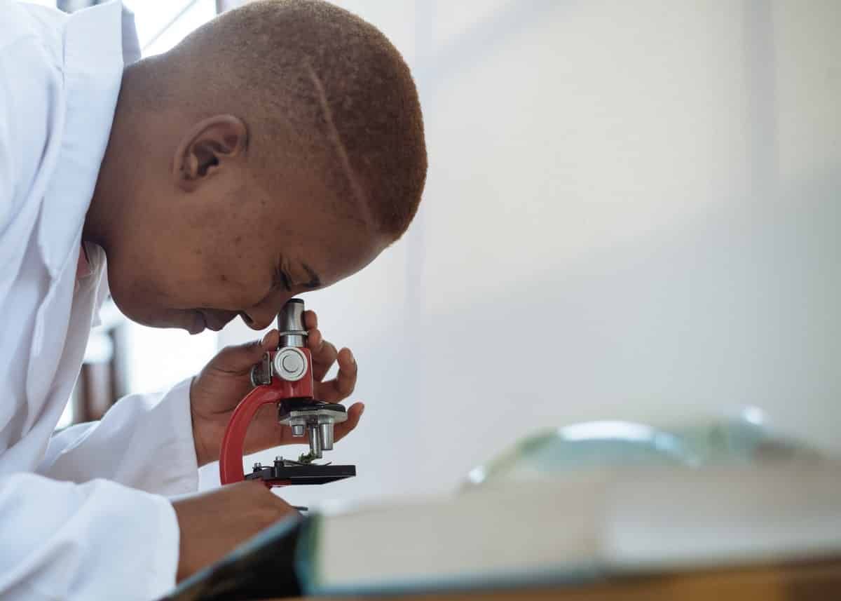 Finding Meaning in the Undergraduate Research Experience