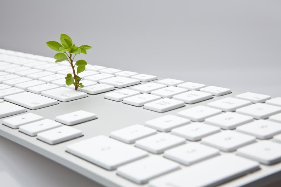 Agent Based Models in Plant Science