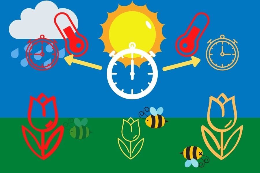 Climate change will scramble the biological clock of the forest floor