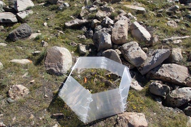 Bas changement climatique, les espèces ne sont pas toujours mueven dans les directions predichas