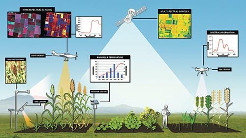The future of digital technologies for crops