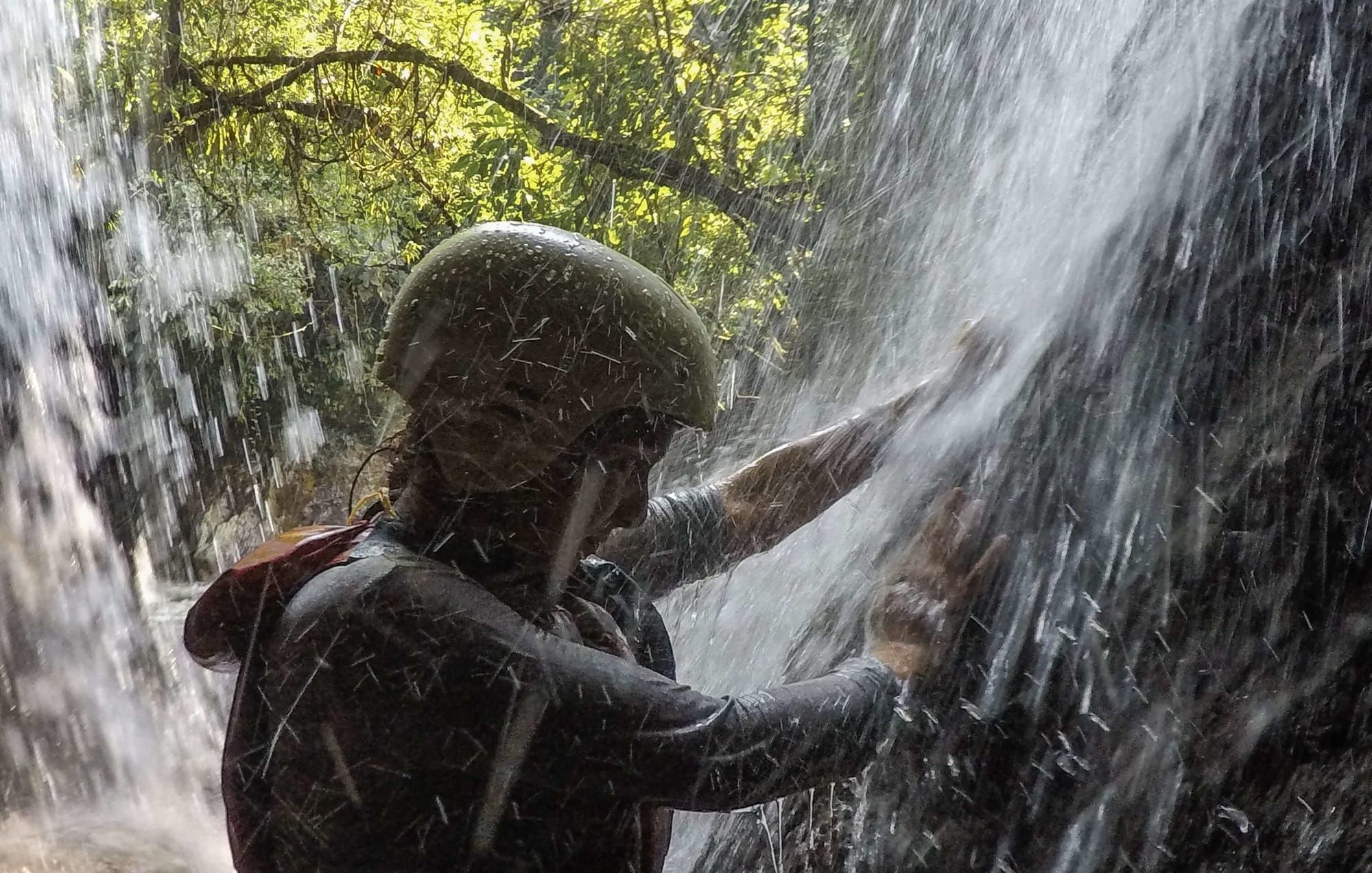 Un nuevo estudio muestra cómo Los Andes han determinado la historia de plantas acuáticas