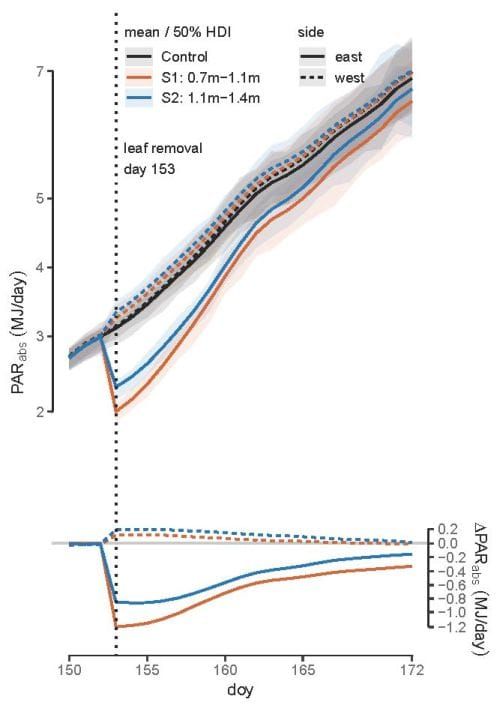Absorbed PAR (PARabs) per vine and the 50 % highest density interval