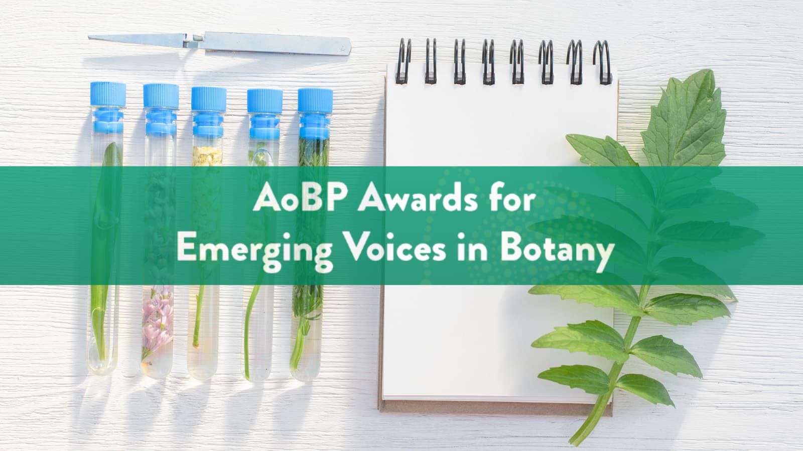 Die AoBP Awards für aufstrebende Stimmen in der Botanik