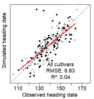 Modelling perennial grass phenology