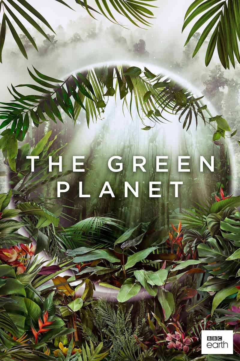 Watching TV is good for the planet