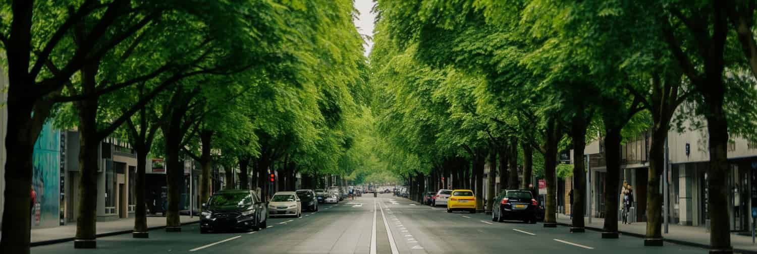 A computer-generated tree lined avenue.