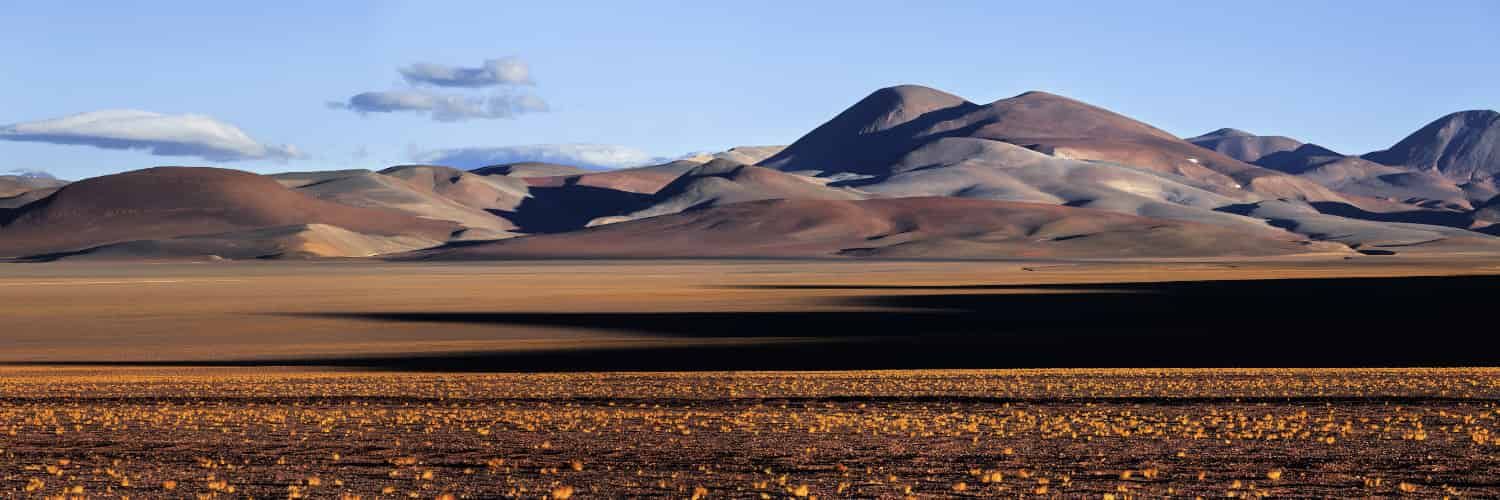 The Puna grassland in the shadows of the Andes' highest peaks.