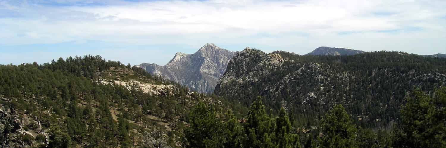 Sierra San Pedro Mártir et Devils Peak, sud de la Basse-Californie, Mexique