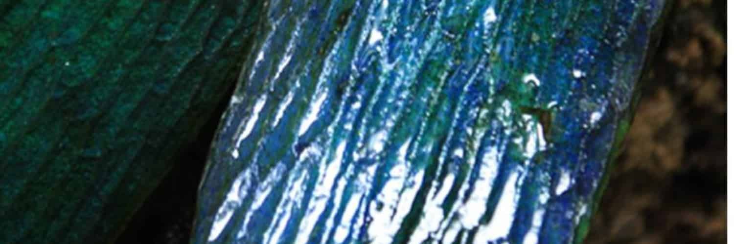 A highly magnified blue leaf.