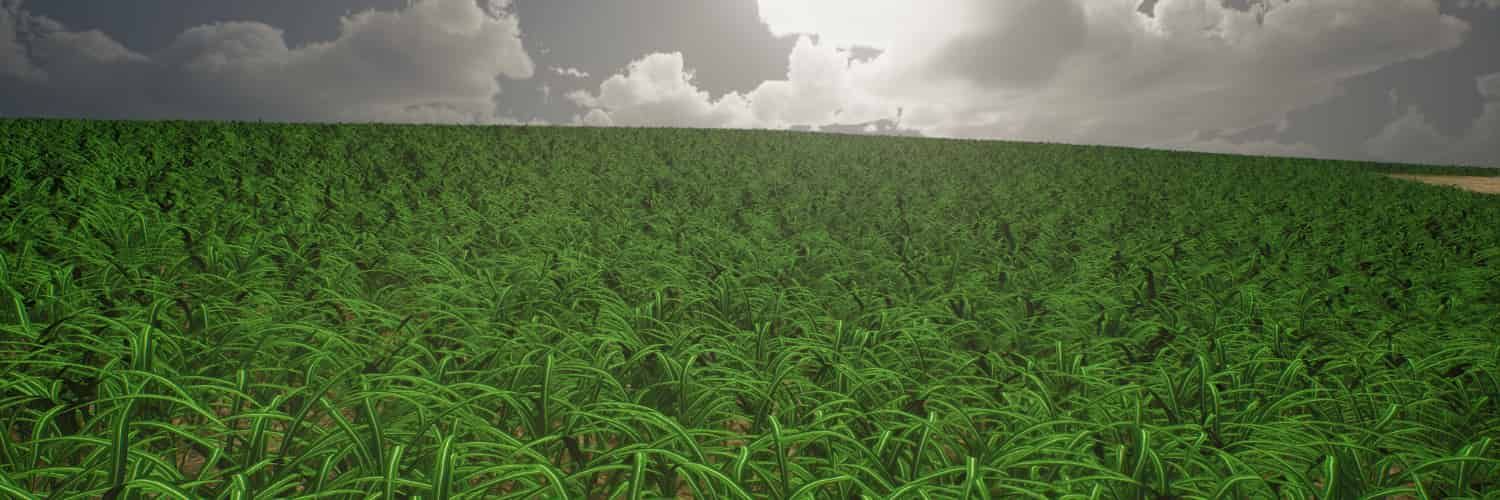 Harnessing the Power of Synthetic Data for Deep Learning Image Analysis