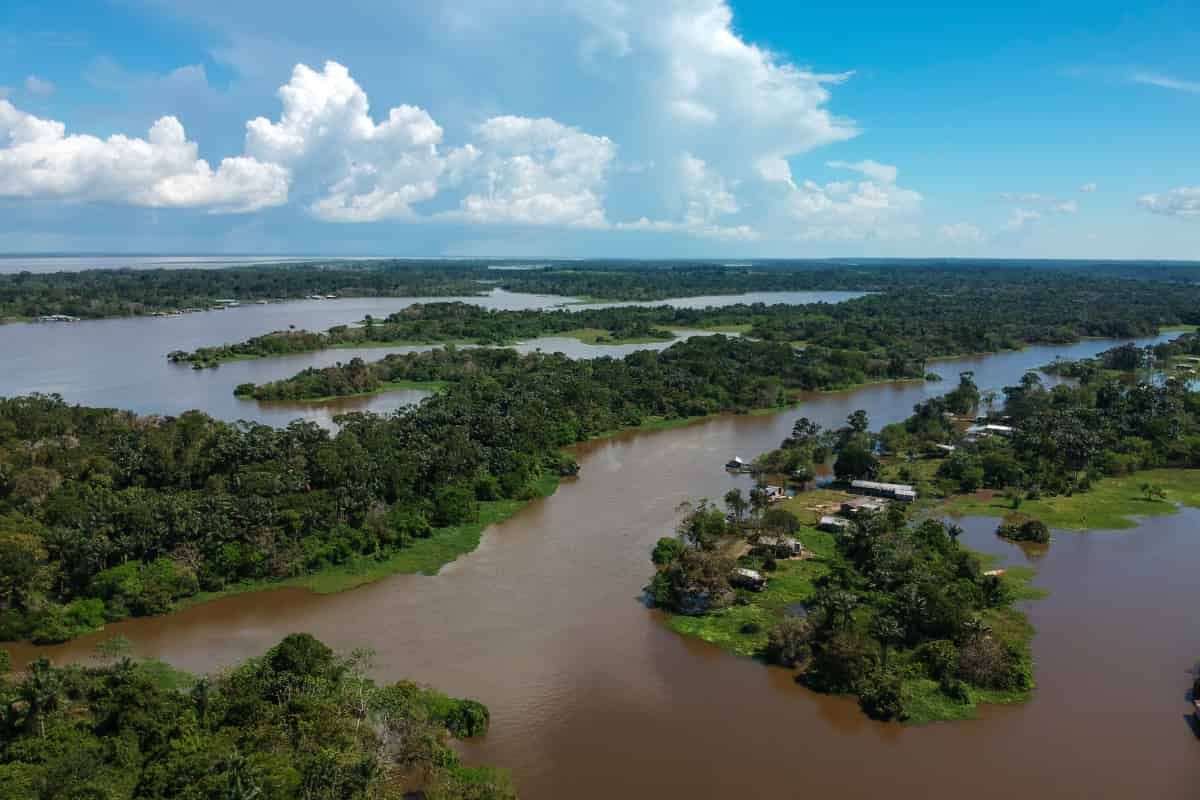 The Amazon river. There might be a manatee in it.