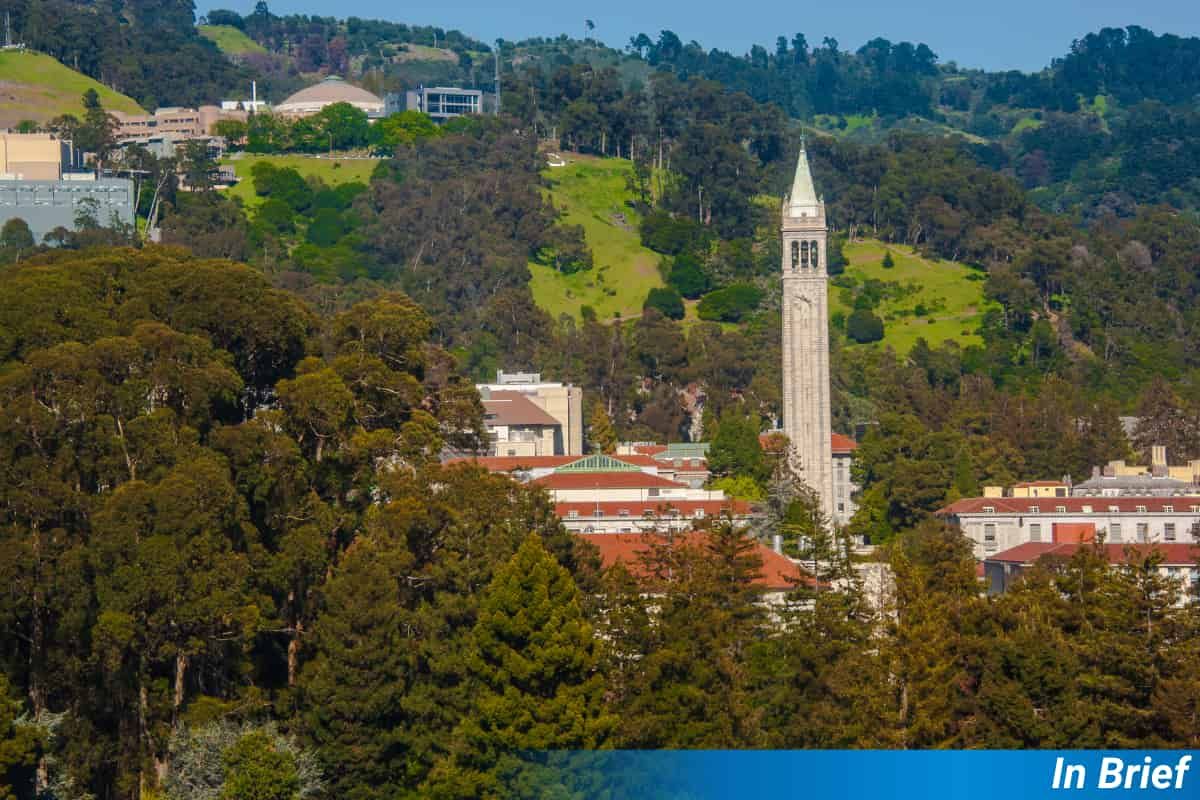 I think this is a view of Berkeley. There are trees in the foreground to give it a botanical look, though they're not the tre