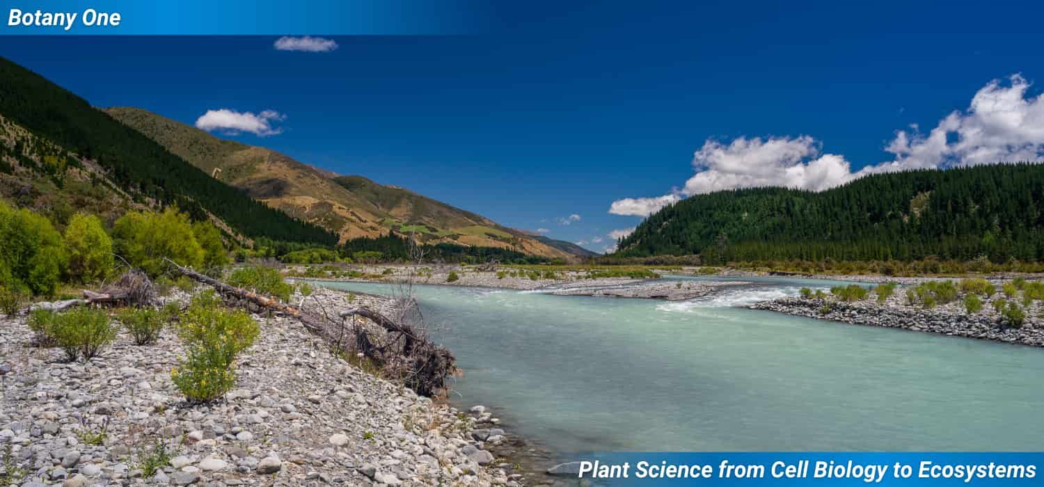 The Wairau river, which I'll concede is not Wairau Bar, but it flows there. There no readily licenceable photo of Wairau Bar