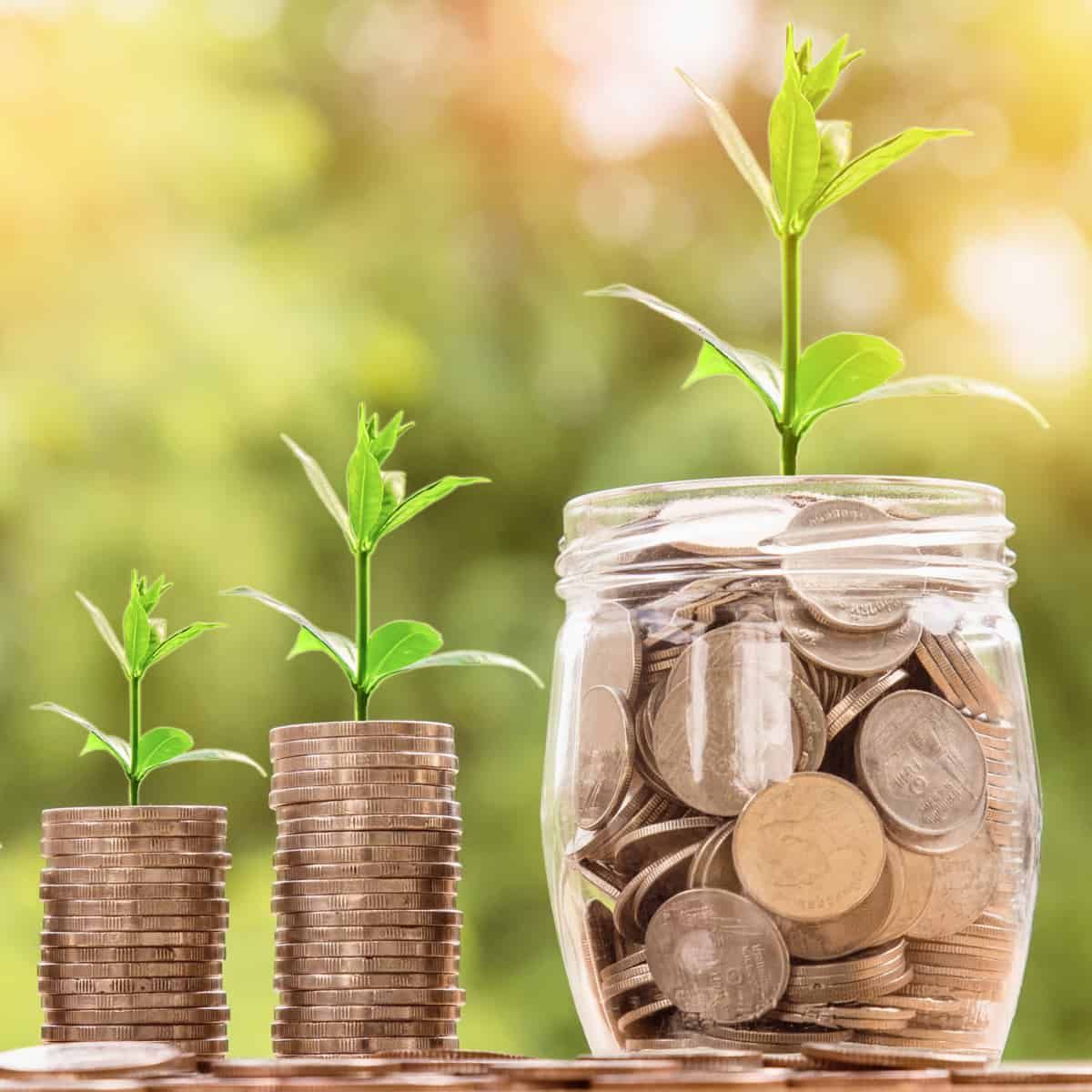 Three stacks of coins with small green plants growing from the top of each. Two are columns of stacked coins with seedlings s