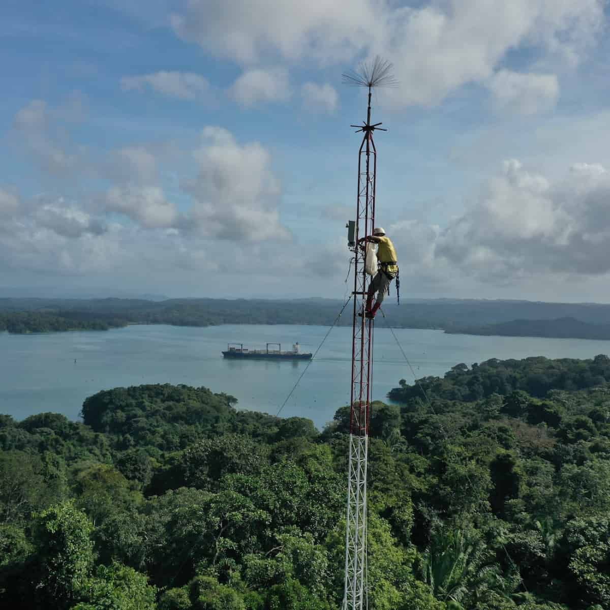 A technician wearing a yellow shirt and safety equipment climbs a tall tower that rises above a tropical forest canopy. The t
