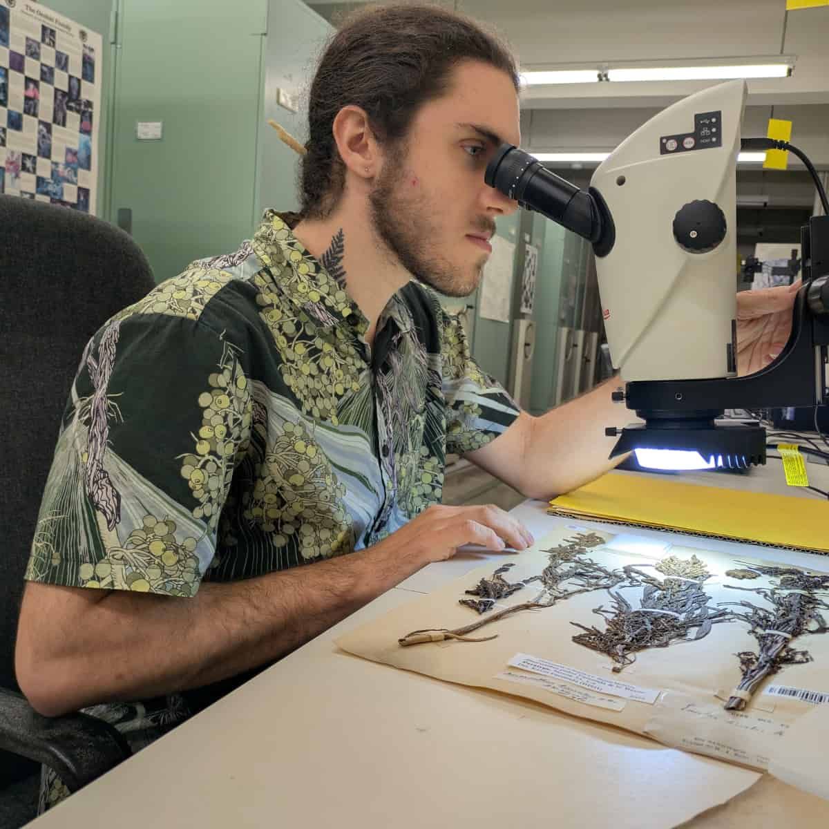 Kevin Faccenda olha fixamente para um microscópio confocal examinando detalhes botânicos.