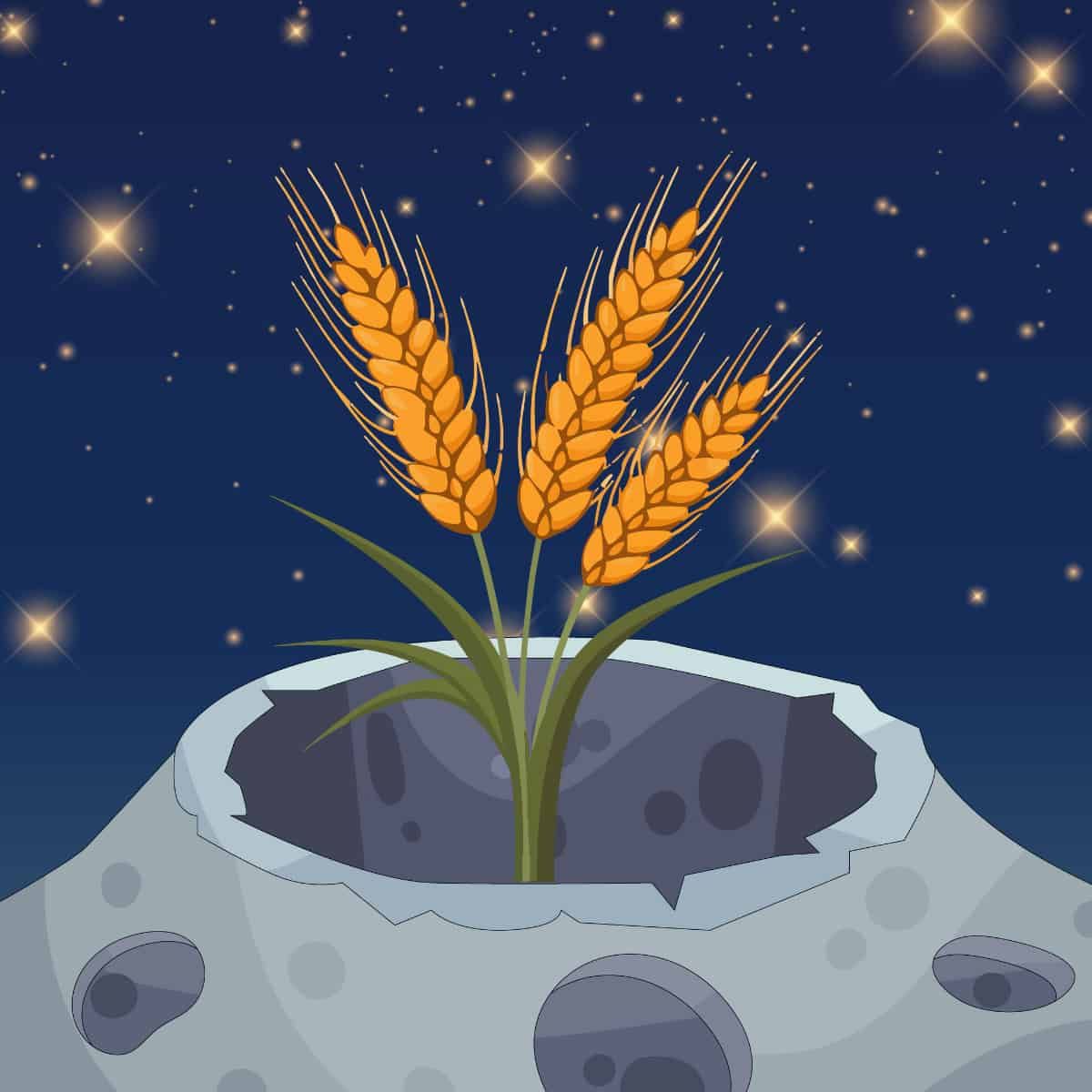 Clip art of wheat sprouting out of a lunar crater under a starry sky.