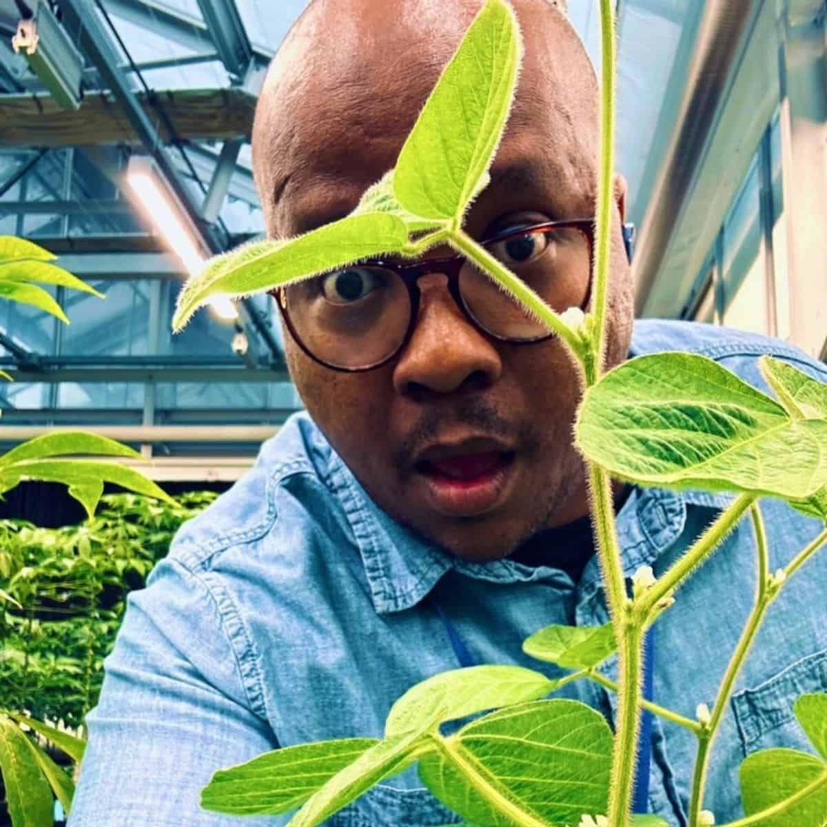 Dr. Itumeleng Moroenyane, a Black man wearing glasses and a light blue denim shirt, poses with a young soybean plant in a gre