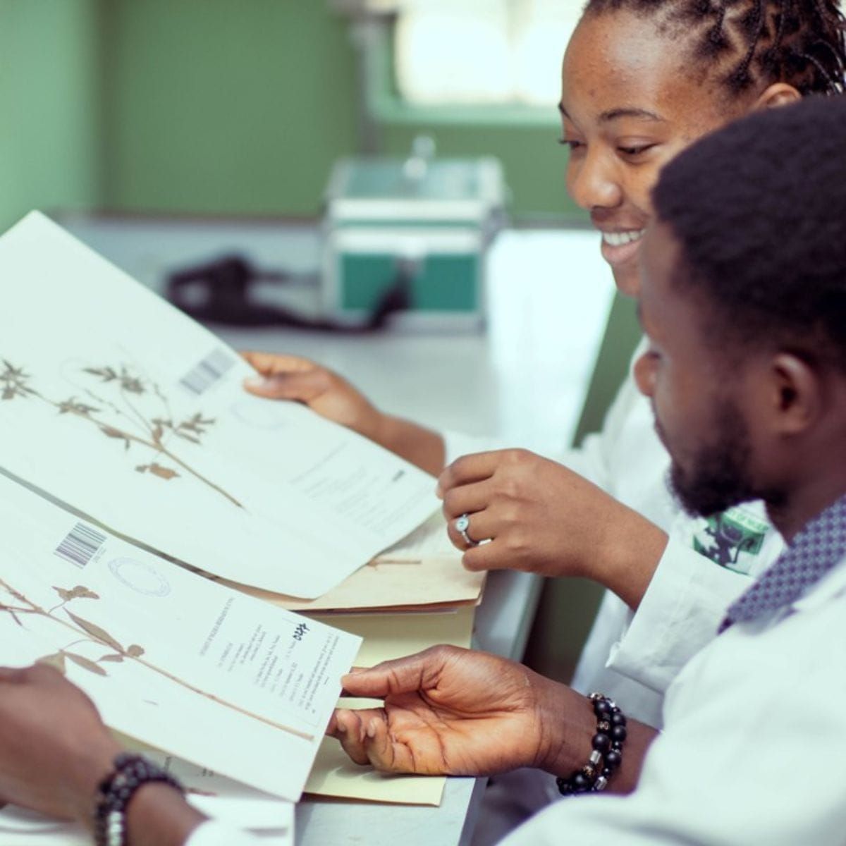 Bibliotecas silenciosas de vida vegetal da Nigéria