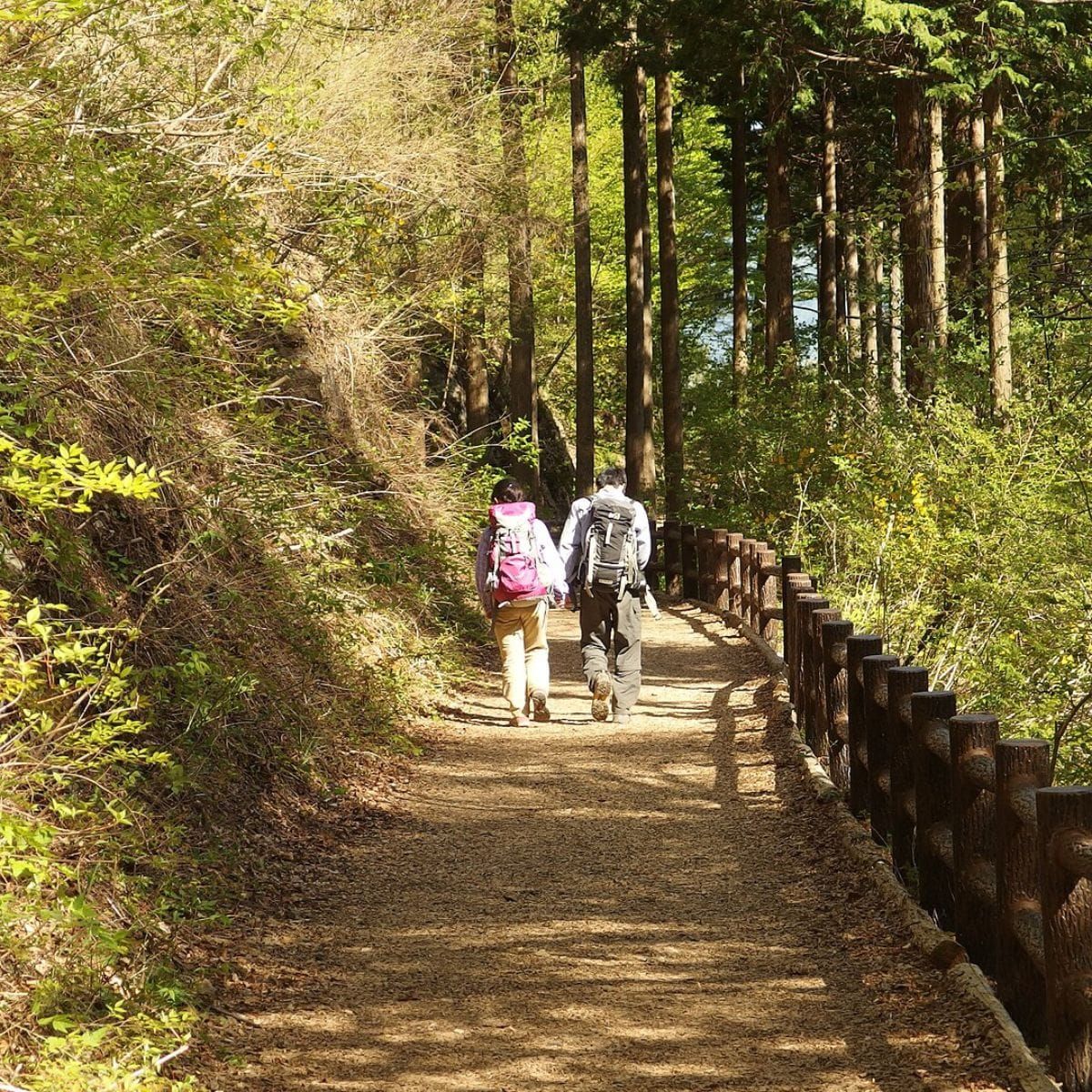Tus ojos y oídos detectan la biodiversidad mejor de lo que crees