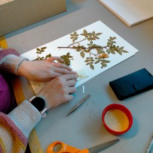 The Ecology of a Herbarium: How Te Papa connects plants, people, and data