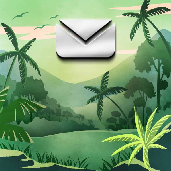 An email floating over a stylised tropical forest.