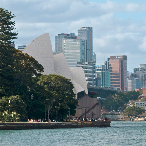A view of some trees, with the Sydney Opera House in the background.