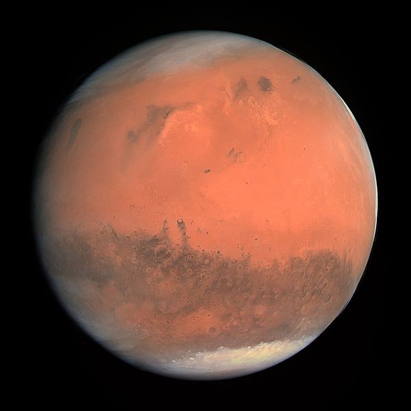 Sweet Potatoes on Mars