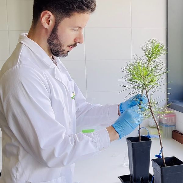 David Pires: Using Fungi to Fight Microscopic Plant Pests