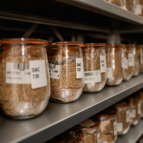 How to Keep Track of 2 million Crop Accessions