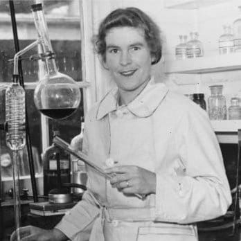 How Digitisation Gives Specimens More Meaning: The Fungal Collections and Networks of Greta Stevenson